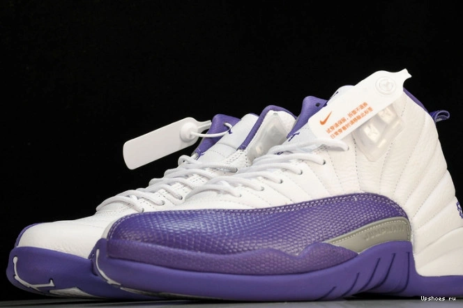 12 CT8013-150 Purple Jordan Retro 1122